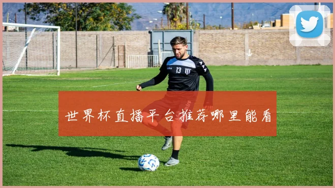 世界杯直播平台推荐哪里能看