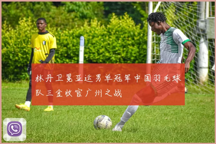 林丹卫冕亚运男单冠军中国羽毛球队三金收官广州之战