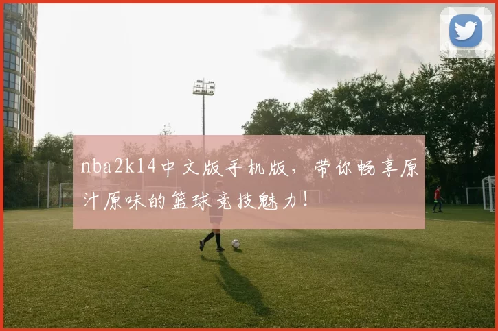 nba2k14中文版手机版，带你畅享原汁原味的篮球竞技魅力！